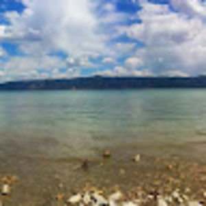 Meet your Posher, Frank